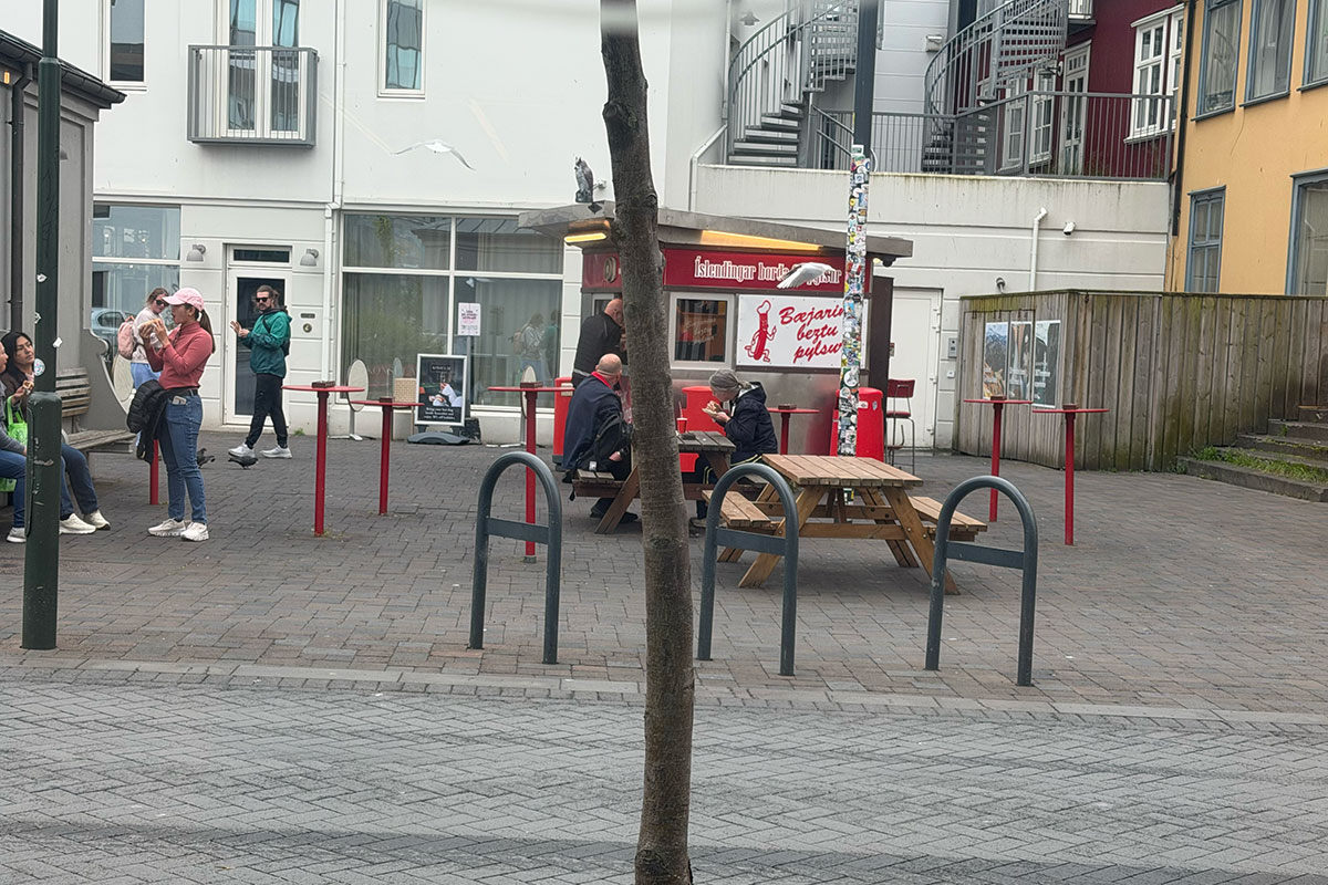 hot dog stand in reykjavik